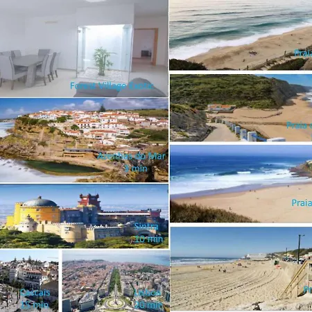 Forest Village Exótic