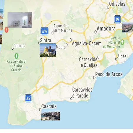 Сasa de vacaciones Forest Village Exótic Bolembre