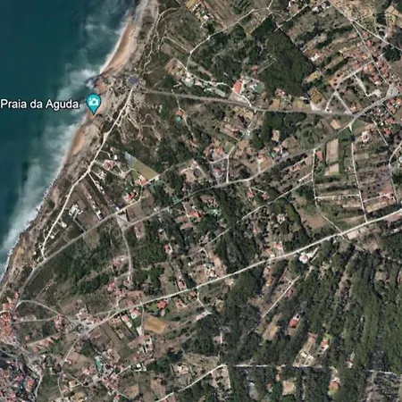 Forest Village Exótic *