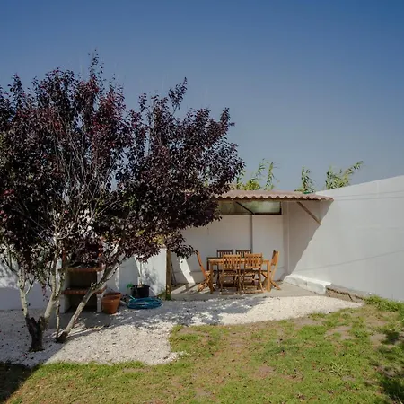 Forest Village Exotic Bolembre